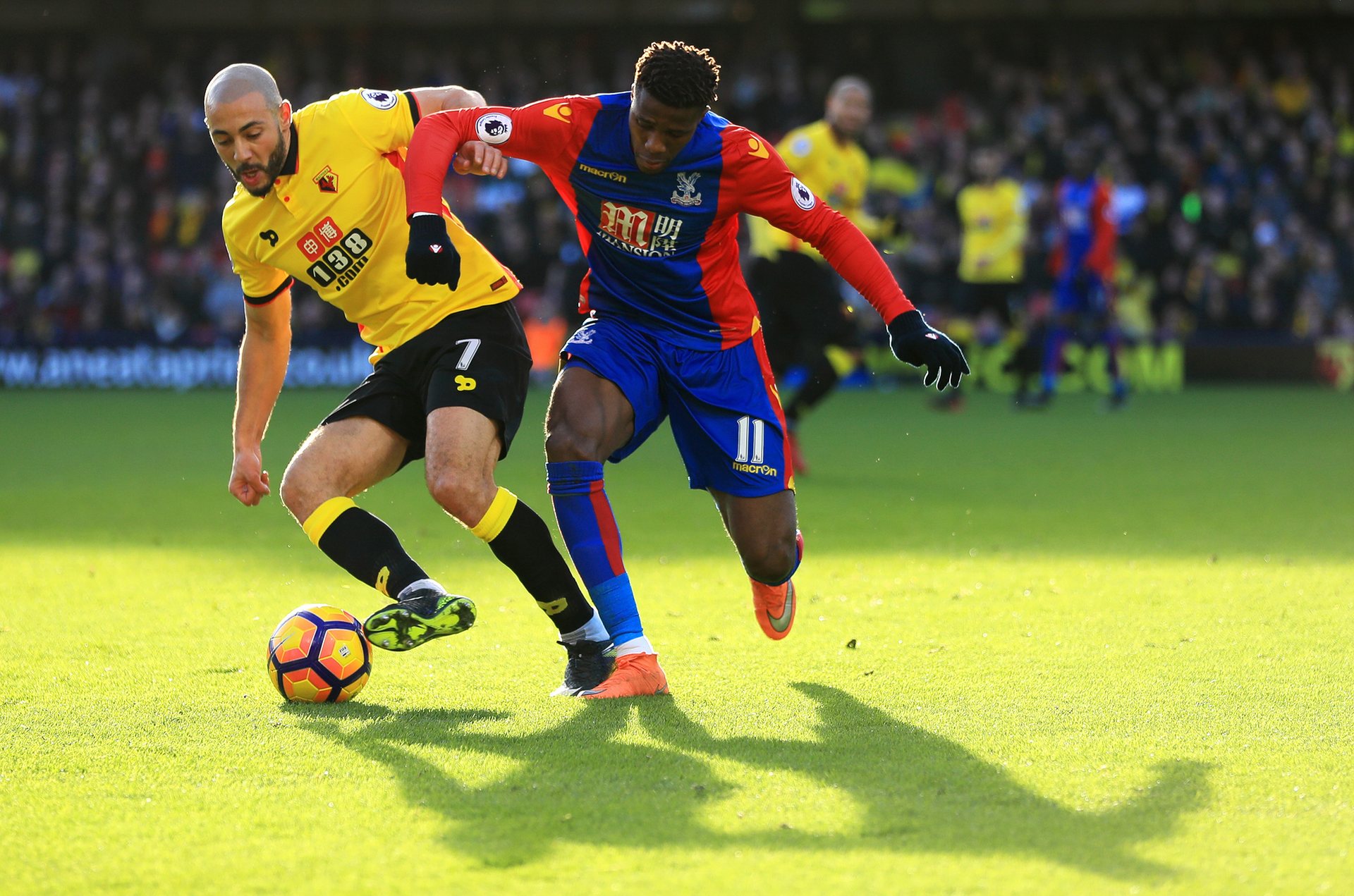 人实力的体 人实力的体