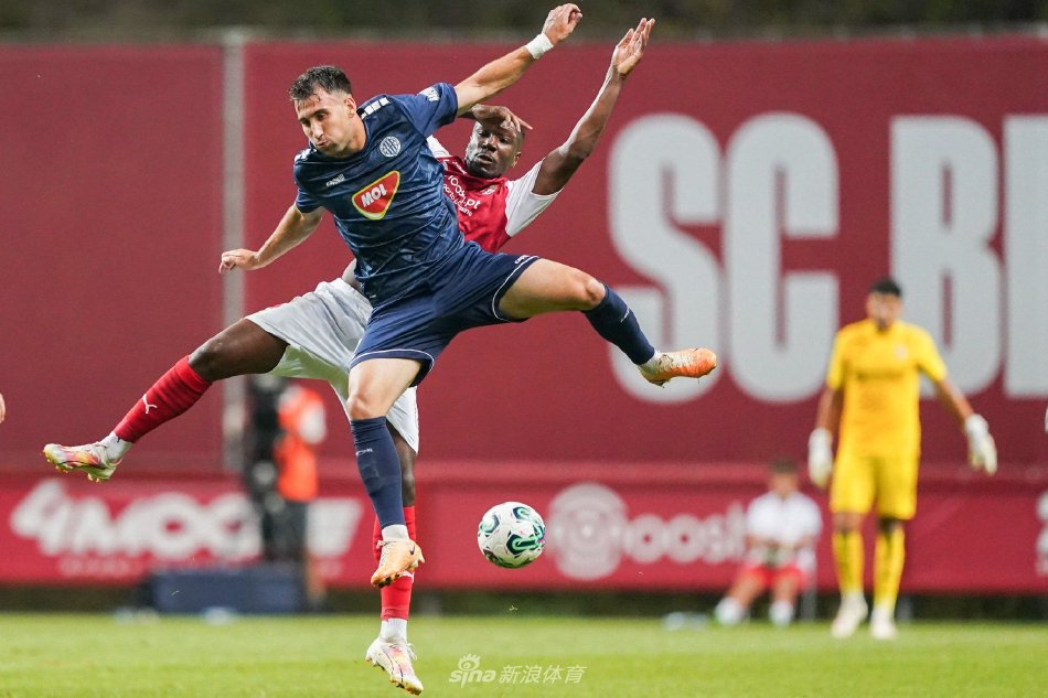 射击界的新 射击界的新